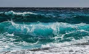 Роспотребнадзор объявил, что вода в Черном море безопасна для купания