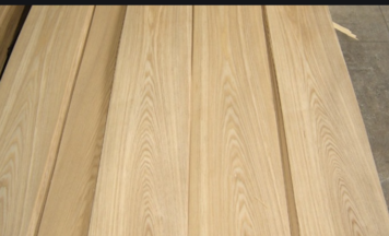 0200zfd8-f8d1-356x216.png