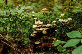 https://naurok-test.nyc3.cdn.digitaloceanspaces.com/uploads/test/99997/337914/401150_1588141508.jpg