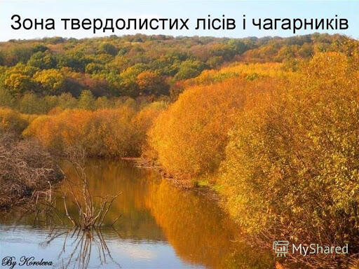 Презентация на тему: "ЄВРАЗІЯ. Природні зони Підготували: Скопенко Анастасія Ринда Юлія Вишневська Вітал ія.". Скачать бесплатно и без регистрации.