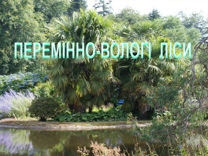 Презентація «Природні зони Північної Америки. Частина ІІ Мішані і широколистяні ліси; Перемінно-вологі ліси» 7 клас
