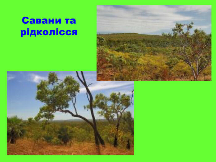 Презентація до інтегрованого уроку "Яких рослин та тварин можна побачити лише в Австралії? Обчислення площі фігури."