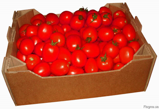 0200zjfp-cf19-311x213.png