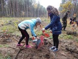 На Волині діти садили оцтове дерево і дуб