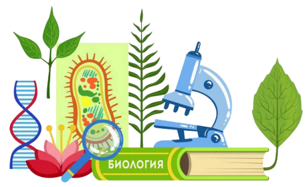 Предмет: "Біологія і екологія" | Херсонський Професійний Суднобудівний Ліцей