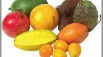 Food (Їжа)