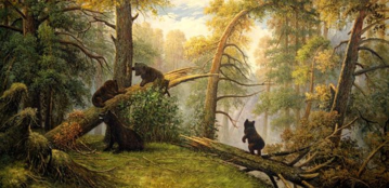 0200zvdg-0446-359x174.png