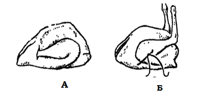 0200zveo-2155-436x201.png