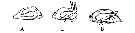 0200zveu-5eb3-646x157.png