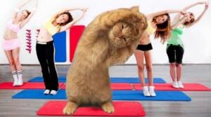 Анкета "Здоровий спосіб життя"