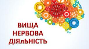 Вища нервова діяльність (ВНД)