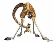 madagascar giraffe | Giraffe from Madagascar to download pictures to your  desktop and ... | Жираф, Мадагаскар, Мультфильмы