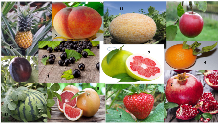 0200zycu-f716-686x387.png