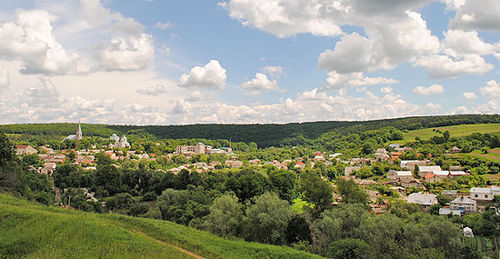 0201003m-5942-500x259.png