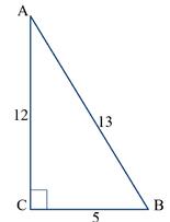 020100cl-3e0a-155x203.jpg
