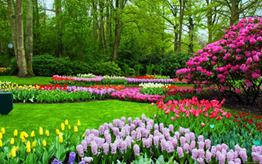 02010246-2759-262x164.png