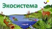 9-Б-Екосистеми. Харчові зв'язки.