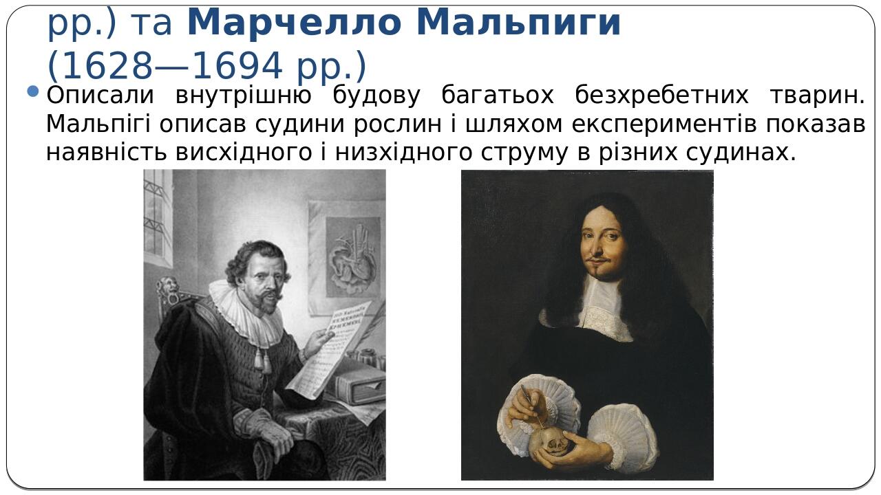 Эксперимент мальпиги. Эксперимент мальпиги