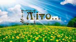 Прислів'я та приказки про літо 