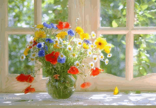 020104bc-ffb3-526x367.gif