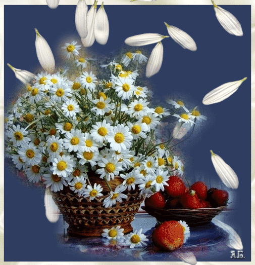 020104bn-6d87-509x527.gif