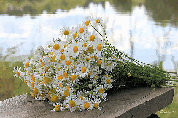 020104bq-a97e-600x399.gif