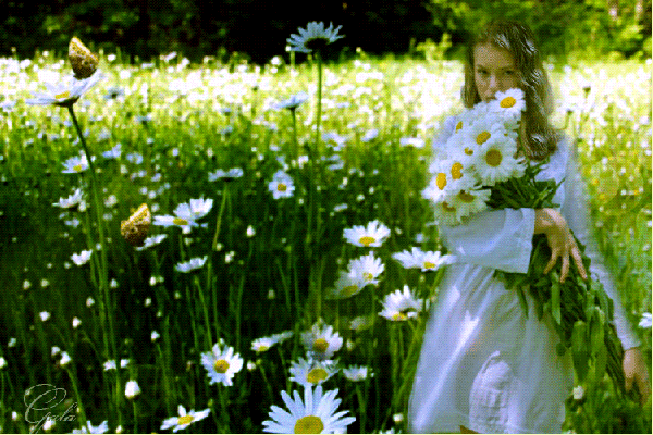 020104c0-b66d-600x400.gif