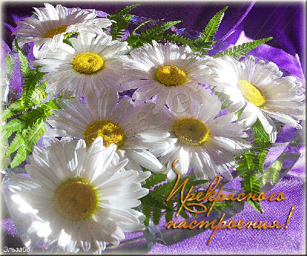 020104cu-4fd8-10x1.jpg