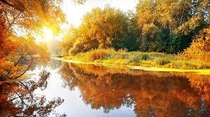 Wallpaper autumn Фотошпалери Розділ autumn Номер 044 - fotooboi осінь, листя, багряний, природа - замовити