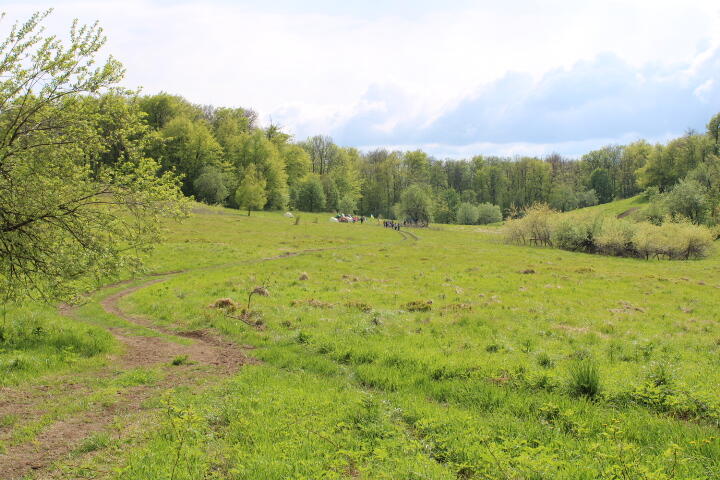 020104td-32ec-720x480.jpg
