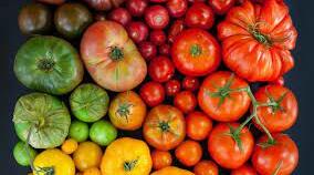 Презентація "Поняття про селекцію"