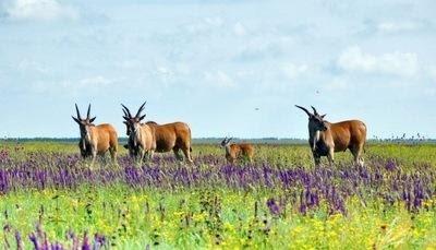 020107b5-68e1-400x229.jpg