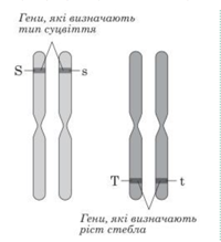 020107mn-2b65-200x219.png