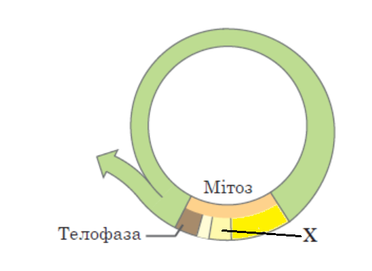 020107n3-5416-529x385.png