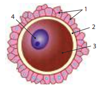 0201088k-d68b-265x232.png
