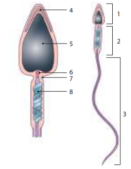 02010891-e6cd-258x334.png