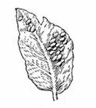 020108c0-498f-139x156.png