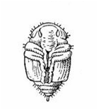 020108c3-1902-139x156.png