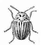 020108c5-aab1-139x156.png