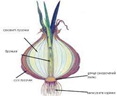 020108qi-59f4-117x96.png