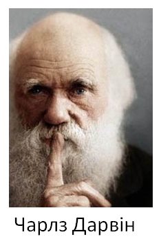 0201094f-d8af-234x351.png