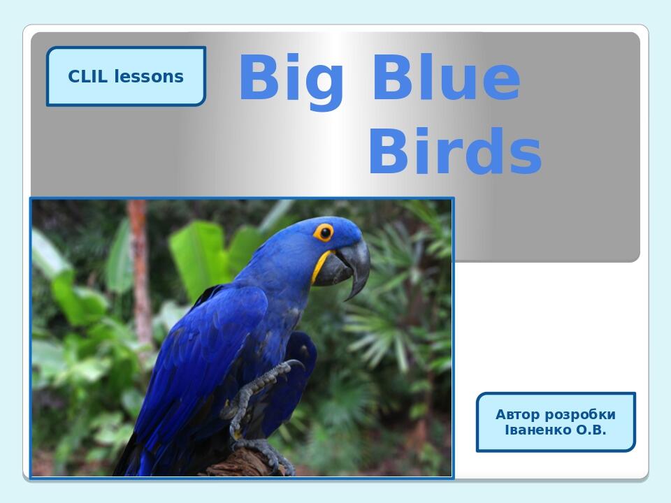 Big Blue Birds CLIL lessons Автор розробки Іваненко О.В.