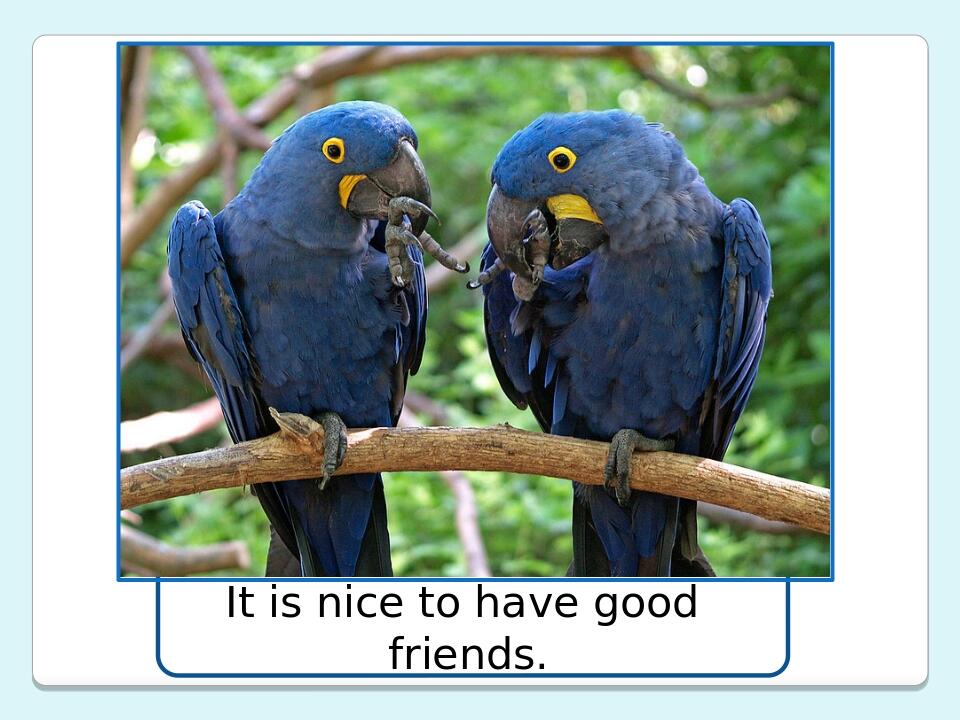 It is nice to have good friends.