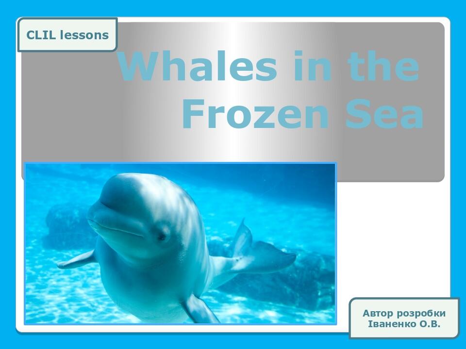 Whales in the Frozen Sea CLIL lessons Автор розробки Іваненко О.В.