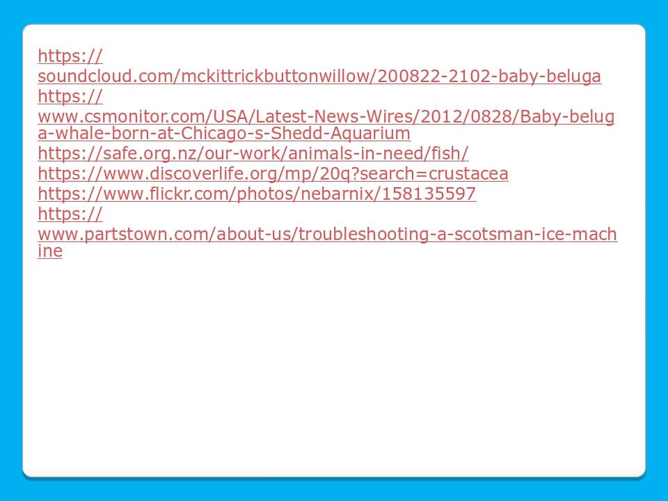 https://soundcloud.com/mckittrickbuttonwillow/200822-2102-baby-beluga https://www.csmonitor.com/USA/Latest-News-Wires/2012/0828/Baby-beluga-whale-b...