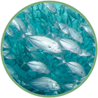 020109kj-ed6e-140x139.png