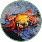 020109kk-4338-140x140.png