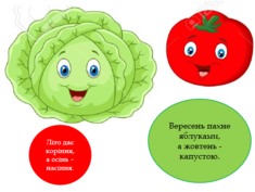 020109ur-fddd-235x177.png