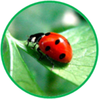 020109wc-fa3d-143x143.png