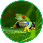 020109wd-2d06-143x143.png